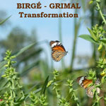 Transformation by Birge-Grimal